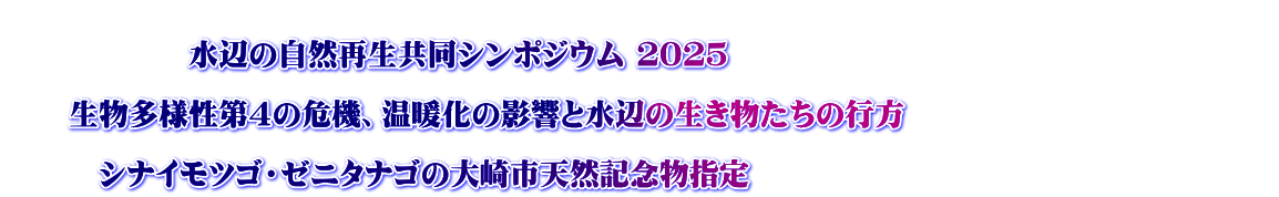  @@@@@@ӂ̎RĐV|WE QOQT  @@l4̊@Ag̉eƐӂ̐̍s@@@@@@@@@@@     @@@ViCcSE[j^iS̑sVRLOw