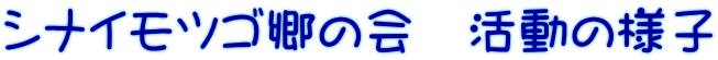 �V�i�C���c�S���̉�@�����̗l�q